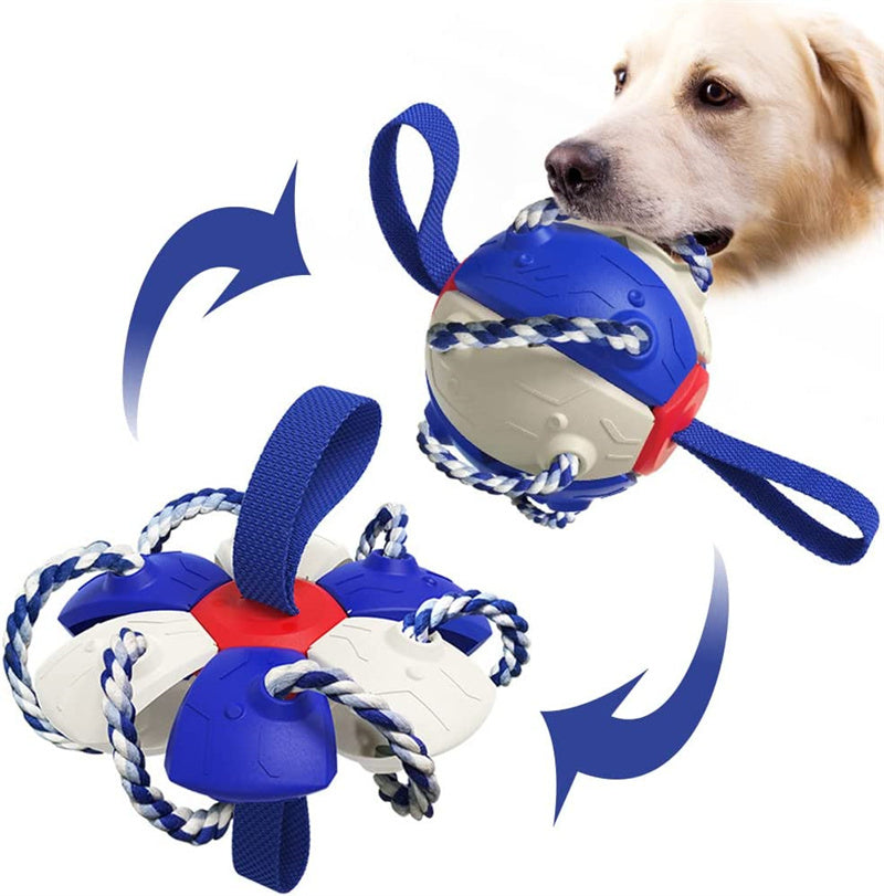 Ballon de foot interactif pour chien avec languettes – jouet flottant avec pompe