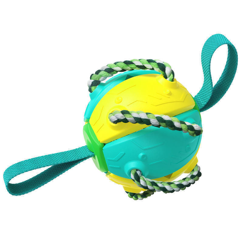 Ballon de foot interactif pour chien avec languettes – jouet flottant avec pompe