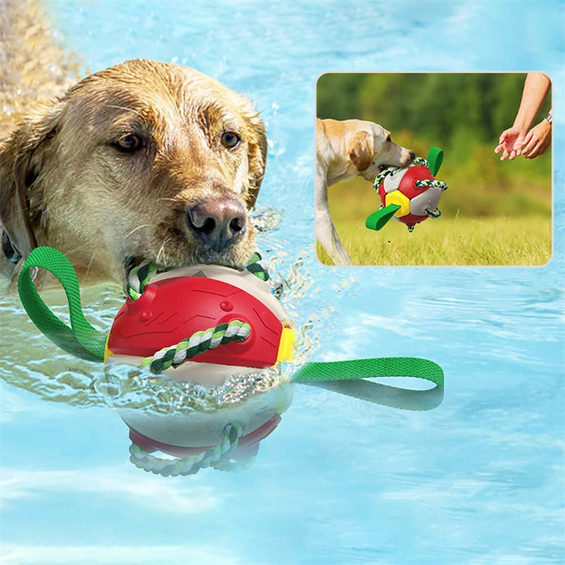 Ballon de foot interactif pour chien avec languettes – jouet flottant avec pompe